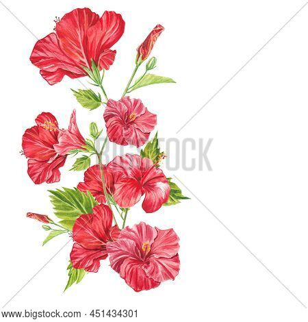 A Red Hibiscus Flower Highlighted On A White Background. Watercolor Tropical Flower Realistic Colorf