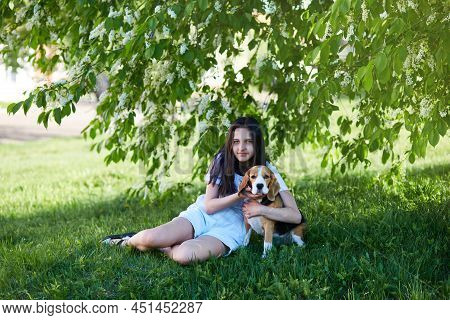 A Young Girl Hugs Her Dog Beagle. A Teenage Girl Is Sitting With Her Pet On The Green Grass Under Af