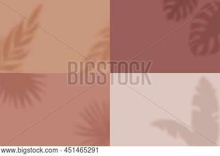 Leaf Shadows On Different Backgrounds. Set Of Four Scenes Of Natural Lighting. Minimalistic Nature B