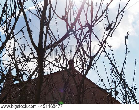 Ferrara, Italy. Medieval Sant'antonio In Polesine Monastery, Detail Of The Church Facade. Crucifix S