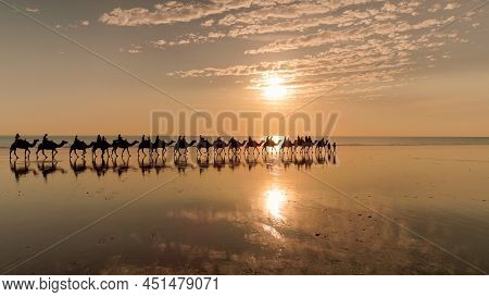 Tracking Clip Of Camel Ride At Sunset On Cable Beach In Broome