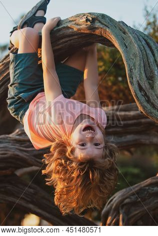 Kid Climbing Tree. Young Boy Playing And Climbing A Tree And Hanging Upside Down. Child Playing In A