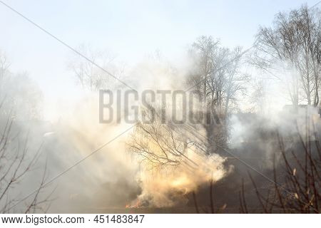 Fire In The Forest. Natural Disasters. The Grass Is On Fire. Global Warming. Climate Change. Envirom