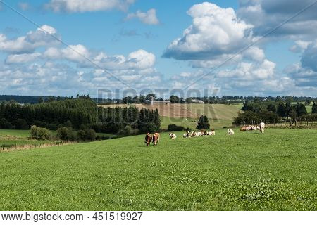 Nature Landscapes With Green Hills At Woods During Summer At The East Belgian Countryside Around Bul