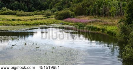 Colorful Nature View Over The Reflecting Water And Plants At The Butgenbach Lake, Eastern Belgium