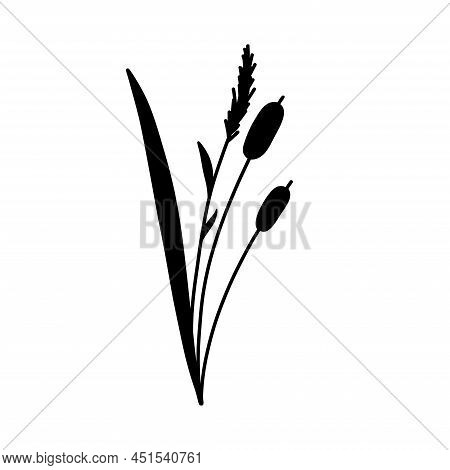 Reed Grass Silhouette. Black Hand Drawn Reeds Sketch. Vector Isolated Element.