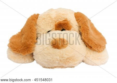 Cute Soft Plush Toy Dog Isolated On White Background