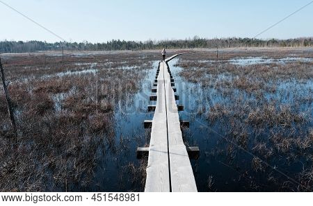 Tuhu Nature Tuhu Nature Walking Trail. Wooden Footbridges In The Swamp. Estonia.