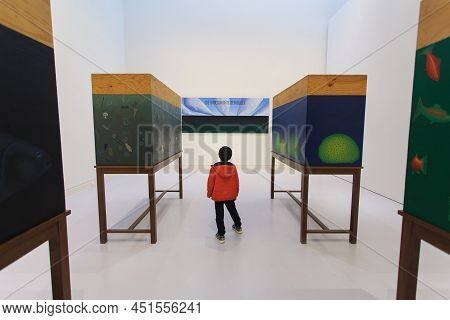Aquariums And Boy, Strasbourg Museum Of Modern And Contemporary Art