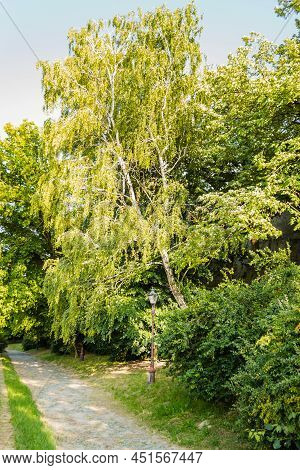Petrovaradin, Serbia - July 17. 2019: Medieval Petrovaradin Fortress Novi Sad Serbia. Hiking Trails 
