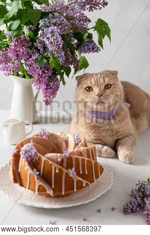 Spring Composition With A Cute Cat, Vanilla Bundt Cake And Lilac Flowers Bouquet On A Light Backgrou