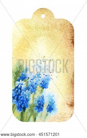 Watercolour Beige Label With Blue Hyacinths, Spring Flowers, Old Paper Texture, Hand Drawn Sketch On