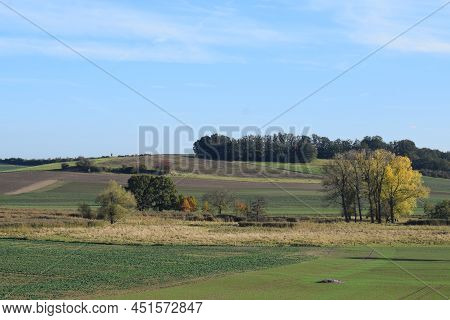 Autumn Falling On The Swampland Thürer Wisen, Reed Dries And Trees Change Color