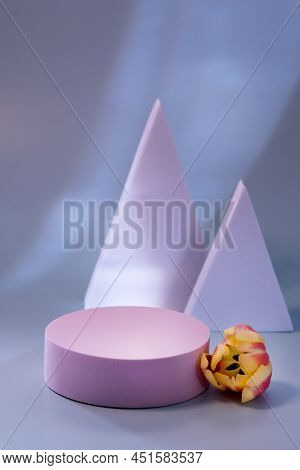 Abstract Minimal Scene Empty Stage With White And Pink Podium On Blue Background Red Tulip Flower Sh