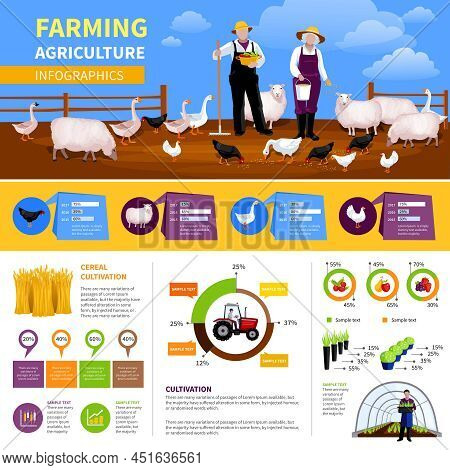 Farming Flat Infographics With Information And Charts About Livestock And Poultry, Agricultural Vehi