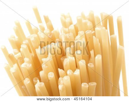 Bucatini Spaghetti Pasta