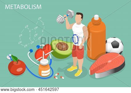 3d Isometric Flat Vector Conceptual Illustration Of Metabolism Boosting, Benefits Of A Balanced Diet