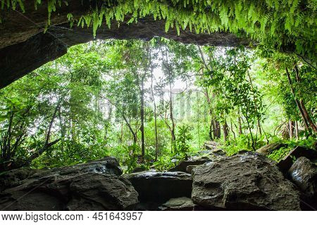 Mystic An Ancient Cave At Sunrise, Sunbeam Shines Through Rainforest Onto Tropical Plants Inside The