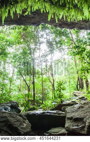 Mystic An Ancient Cave At Sunrise, Sunbeam Shines Through Rainforest Onto Tropical Plants Inside The