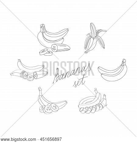 Banana Set. Vector Illustration In Sketch Style On A White Background.