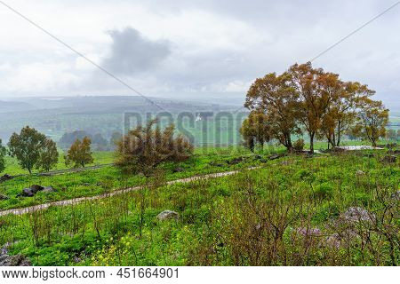 View From The Golan Heights Of Eucalyptus Trees, And The Landscape Of The Hula Valley, On A Foggy Wi
