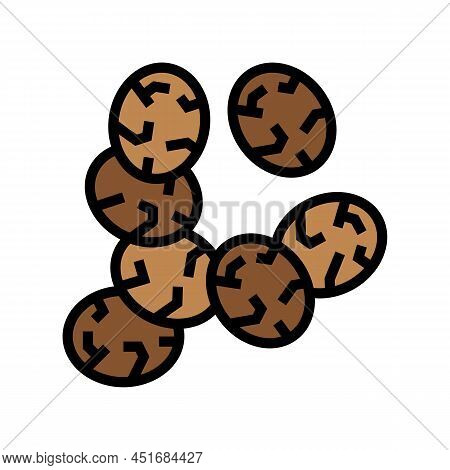 Chia Seed Color Icon Vector. Chia Seed Sign. Isolated Symbol Illustration