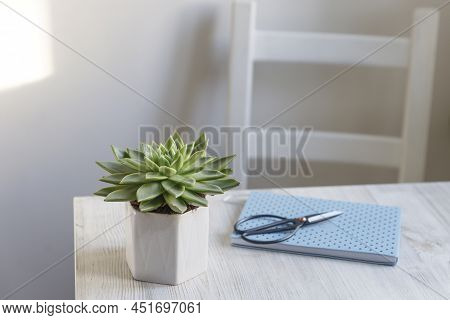 Echeveria In A Beautiful Ceramic Pot On A Beige Table Next To A White Spring Notepad In The Kitchen 