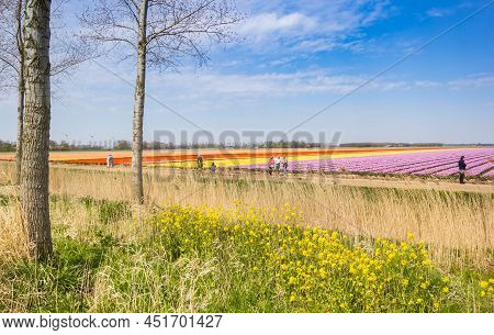 Noordoostpolder, Netherlands - April 28, 2021: People Enjoying The Colorful Tulips In Noordoostpolde