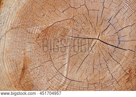 Saw Cut Of A Tree With Annual Rings As Background