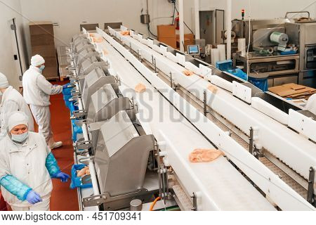 Meat Processing Plant.people Working At A Chicken Factory - Stock Photo.automated Production Line In