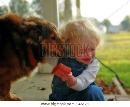 Amour