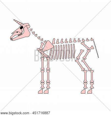 Unicorn Skeleton Isolated. Magic Horse With Horn Skull . Vector Illustration