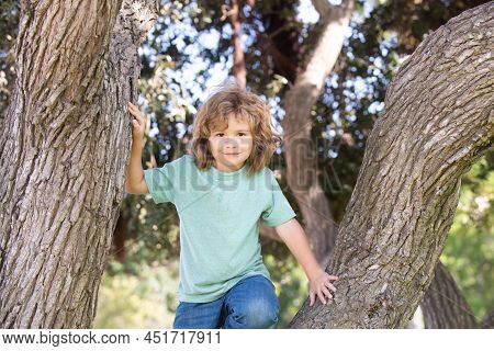 Little Child Boy Trying To Climb A Tree. Kids Climbing A Tree. Kid Boy Playing And Climbing A Tree A