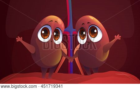 Cute Characters Of Kidneys, Human Internal Organs For Dialysis And Filter Function. Vector Cartoon M