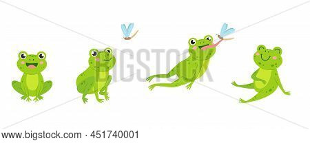 Funny Frog. Animal Jump To Eat Fly Insect. Green Cartoon Isolated Frogs, Wildlife Rules. Neoteric Wa