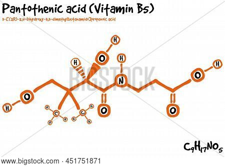 Large And Detailed Isolated Drawn Molecule And Formular Of Panthothenic Acid