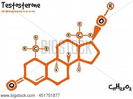 Large And Detailed Isolated Drawn Molecule And Formular Of Testosterone