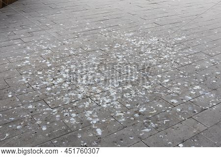 Dirty Tiles Covered In Bird Droppings In The City Square. Bird Shit On The Surface Of The Pavement