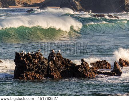 Image Of A Group Of Seagulls On The River Beach. Meiras, Valdoviño, Spain.