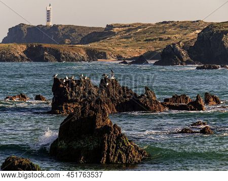 Image Of A Group Of Seagulls On The River Beach. Meiras, Valdoviño, Spain.