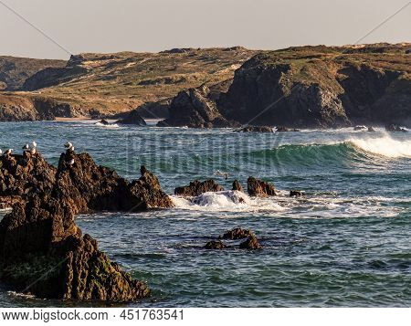 Image Of A Group Of Seagulls On The River Beach. Meiras, Valdoviño, Spain.
