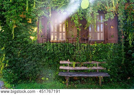 Fairy Bench Before Creeping Ivy Wall And Sunbeam