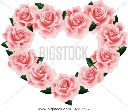 Cuore di Rose Rosa isolata