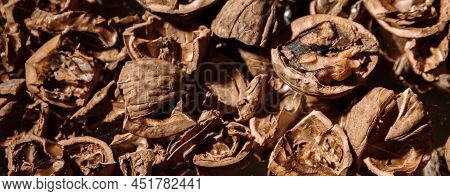 A Lot Of Empty Walnut Shell. Textured Background. Alternative Fuel. Close-up. Copy Space. Waste Food