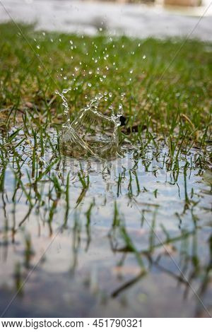 Rain Water Drop Landing In Grass During Storm