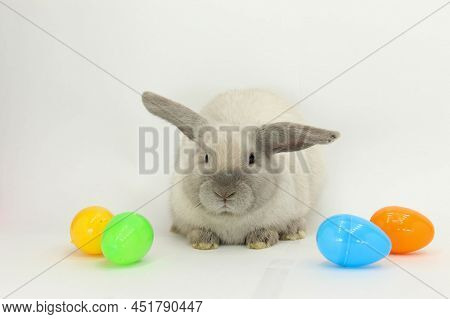 An Adorable Rabbit With Some Easter Eggs Against A White Background
