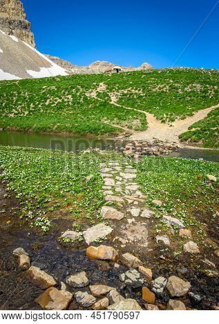 Rocky Hiking Trail Up Mountain During Summer