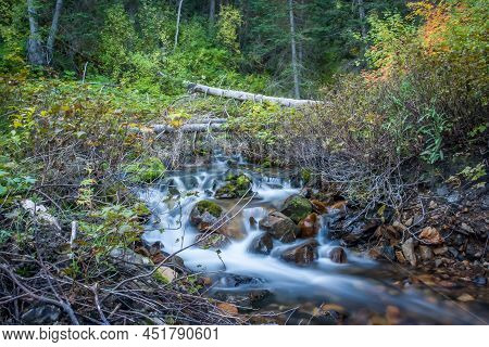 Long Exposure Of Mountain Brook During Summer