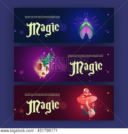 Cartoon Magic Banners With Witch Or Wizard Esoteric Items Pinned Fly, Animal Skull With Plant And Fl