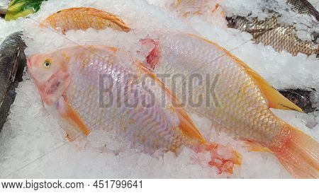 Red Tilapia Fish  On Ice At The Market.